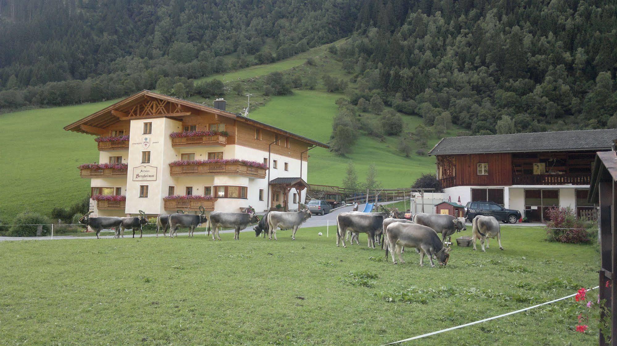 Alfaierhof-Bergheimat Hotel Gschnitz Exterior photo